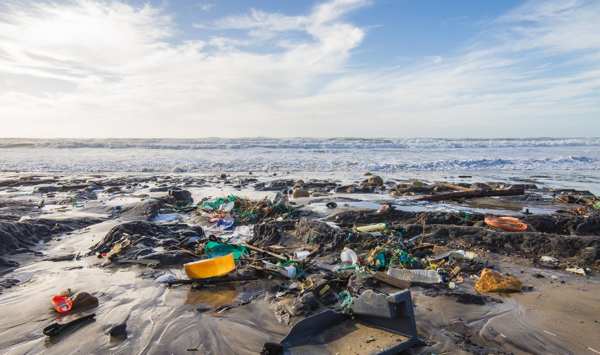 Straipsnio nuotrauka