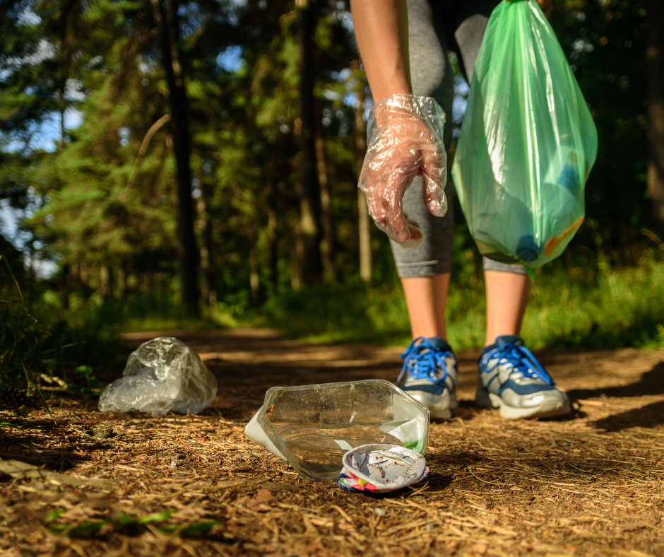 Straipsnio nuotrauka